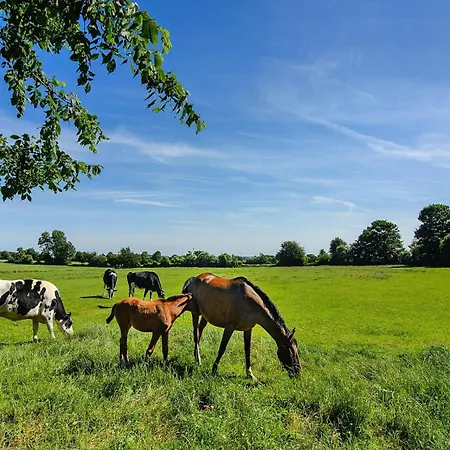 Doppelhaushaelfte Posthus,